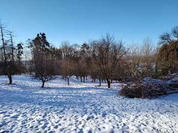 Prodej domu 260 m², Havířov