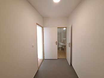 Pronájem bytu 2+1 v osobním vlastnictví 46 m², Brno