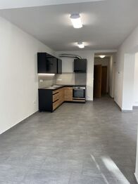 Pronájem bytu 2+kk v osobním vlastnictví 64 m², Písek