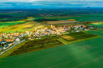 Prodej, Slaný