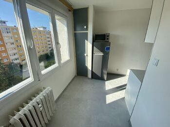 Pronájem bytu 1+1 v osobním vlastnictví 42 m², Plzeň