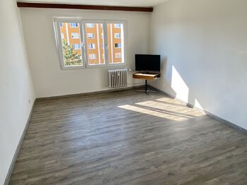 Pronájem bytu 1+1 v osobním vlastnictví 42 m², Plzeň