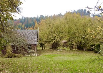 Pronájem pozemku 847 m², Malá Skála