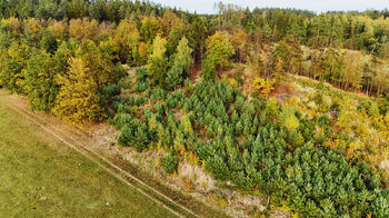 Prodej pozemku 9437 m², Kostelec nad Vltavou