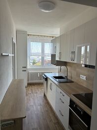 Pronájem bytu 3+1 v družstevním vlastnictví 63 m², České Budějovice