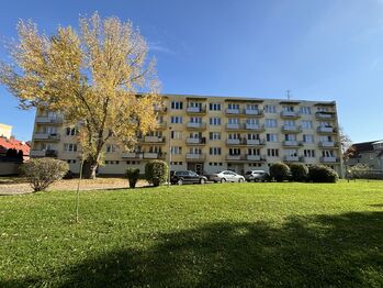 Pronájem bytu 3+1 v družstevním vlastnictví 63 m², České Budějovice