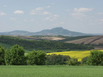 Prodej pozemku 44589 m², Horní Bojanovice