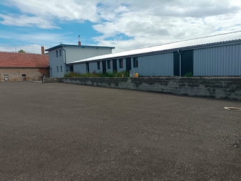 Pronájem obchodních prostor 160 m², Račice