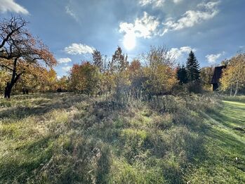 Prodej pozemku 4983 m², Příštpo