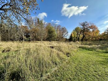 Prodej pozemku 4983 m², Příštpo