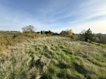 Prodej pozemku 709 m², Přibice