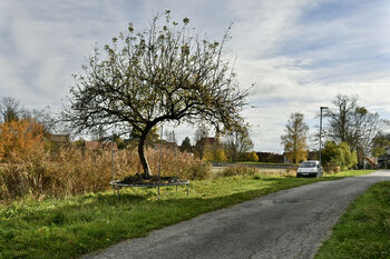 Bohuslavice - okolí domu - Prodej domu 234 m², Bohuslavice