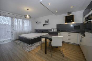 Pronájem bytu 1+kk v osobním vlastnictví 32 m², Brno