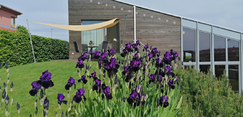 Prodej domu 120 m², Řevnice