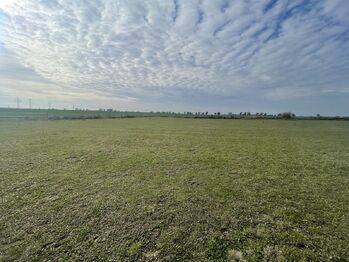 Prodej pozemku 1870 m², Ořech