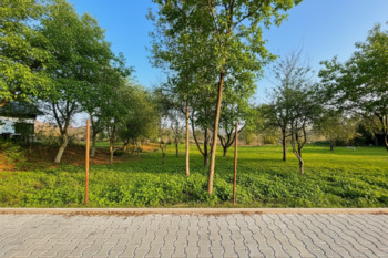 Prodej pozemku 10089 m², Kněžmost