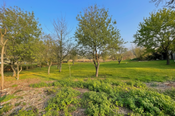 Prodej pozemku 1065 m², Skorkov