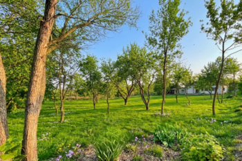 Prodej pozemku 1009 m², Skorkov