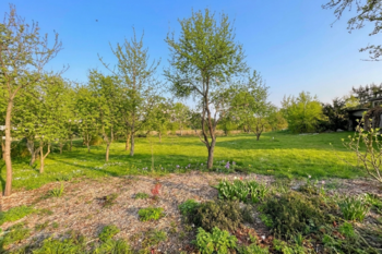 Prodej pozemku 1009 m², Skorkov