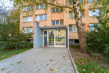 Pronájem bytu 1+1 v osobním vlastnictví 27 m², Kolín