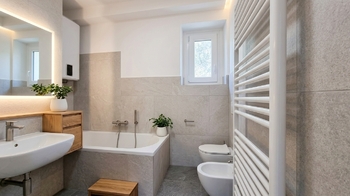 Vizualizace - Prodej zemědělského objektu 610 m², Omlenice