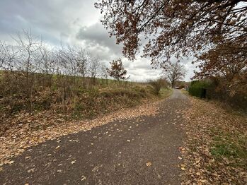 Prodej chaty / chalupy 40 m², Benešov