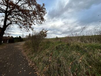 Prodej chaty / chalupy 40 m², Benešov