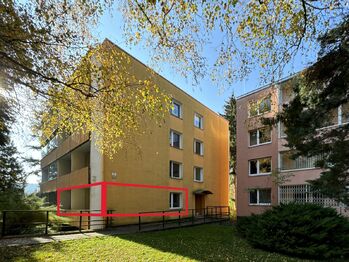 Pronájem bytu 2+1 v osobním vlastnictví 50 m², Brno