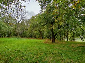 Prodej pozemku 13830 m², Chotiměř