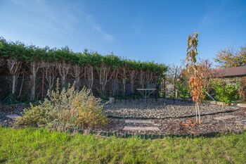 zahrada s posezením  - Pronájem bytu 1+1 v osobním vlastnictví 48 m², Hradec Králové