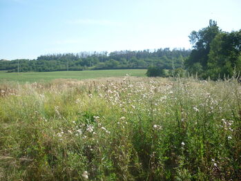 Prodej pozemku 2190 m², Podhořany u Ronova