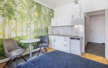 Pronájem bytu 1+kk v osobním vlastnictví 21 m², Praha 2 - Nové Město