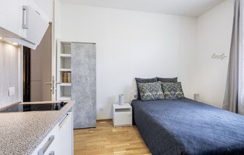 Pronájem bytu 1+kk v osobním vlastnictví 21 m², Praha 2 - Nové Město