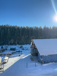 Prodej ubytovacího zařízení 1148 m², Nové Hamry