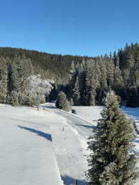 Prodej ubytovacího zařízení 1148 m², Nové Hamry