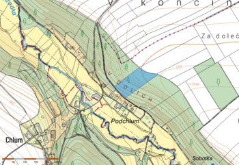 pohled na lesní pozemek - Prodej pozemku 11380 m², Leština