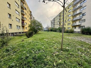 Prodej bytu 2+1 v osobním vlastnictví 48 m², Praha 7 - Holešovice