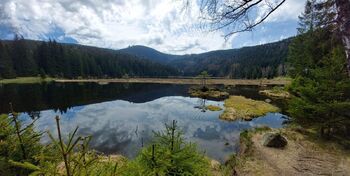 Prodej bytu 1+kk v osobním vlastnictví 20 m², Železná Ruda