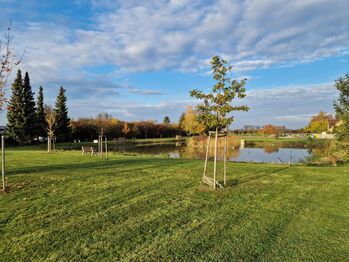 Prodej pozemku 1392 m², Okřínek