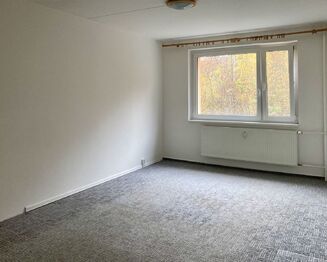 Pronájem bytu 3+1 v družstevním vlastnictví 69 m², Chomutov