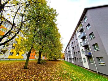 Prodej bytu 3+kk v osobním vlastnictví 67 m², Milovice