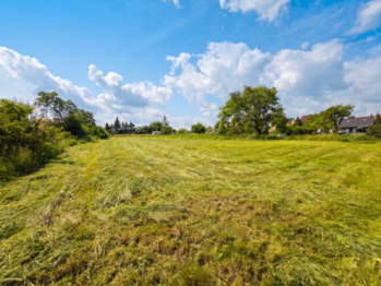 Prodej pozemku 2602 m², Liběšice