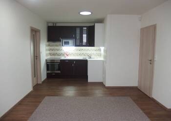 Pronájem bytu 3+kk v osobním vlastnictví 66 m², Šestajovice