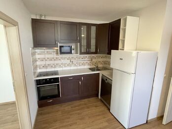 Pronájem bytu 3+kk v osobním vlastnictví 66 m², Šestajovice