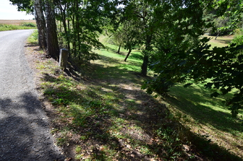Prodej pozemku 8259 m², Kožlí