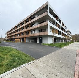 Pronájem bytu 2+kk v osobním vlastnictví 55 m², Plzeň