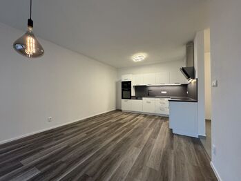 Pronájem bytu 2+kk v osobním vlastnictví 55 m², Plzeň