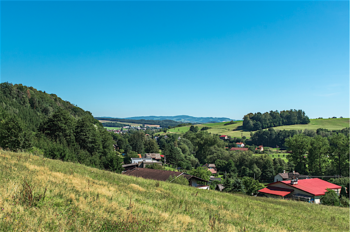 Prodej pozemku 1658 m², Letohrad