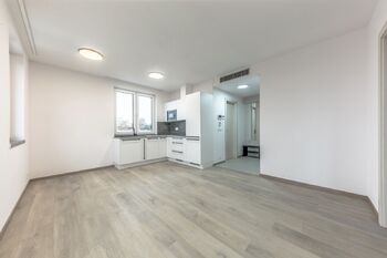 pokoj s kuchyňkským koutem  - Pronájem bytu 2+kk v osobním vlastnictví 39 m², Kladno 