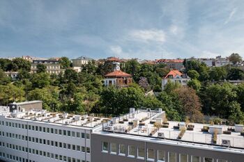 pochozí střecha - Prodej bytu 1+kk v osobním vlastnictví 27 m², Praha 2 - Vinohrady